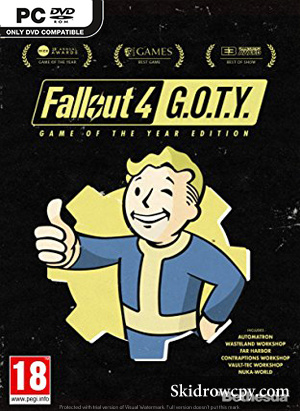 FALLOUT-4-GAME-OF-THE-YEAR-EDITION-DVD-PC