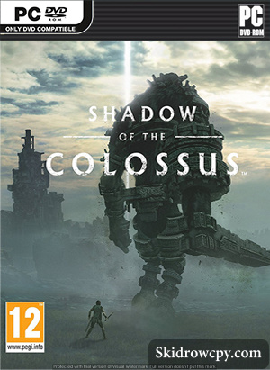shadow-of-the-colossus-dvd-pc